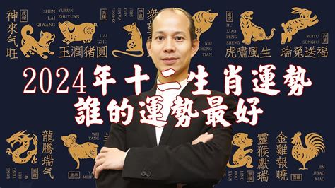 屬龍的幸運色|2024龍年十二生肖幸運色公開！從流年運勢挑精品包。